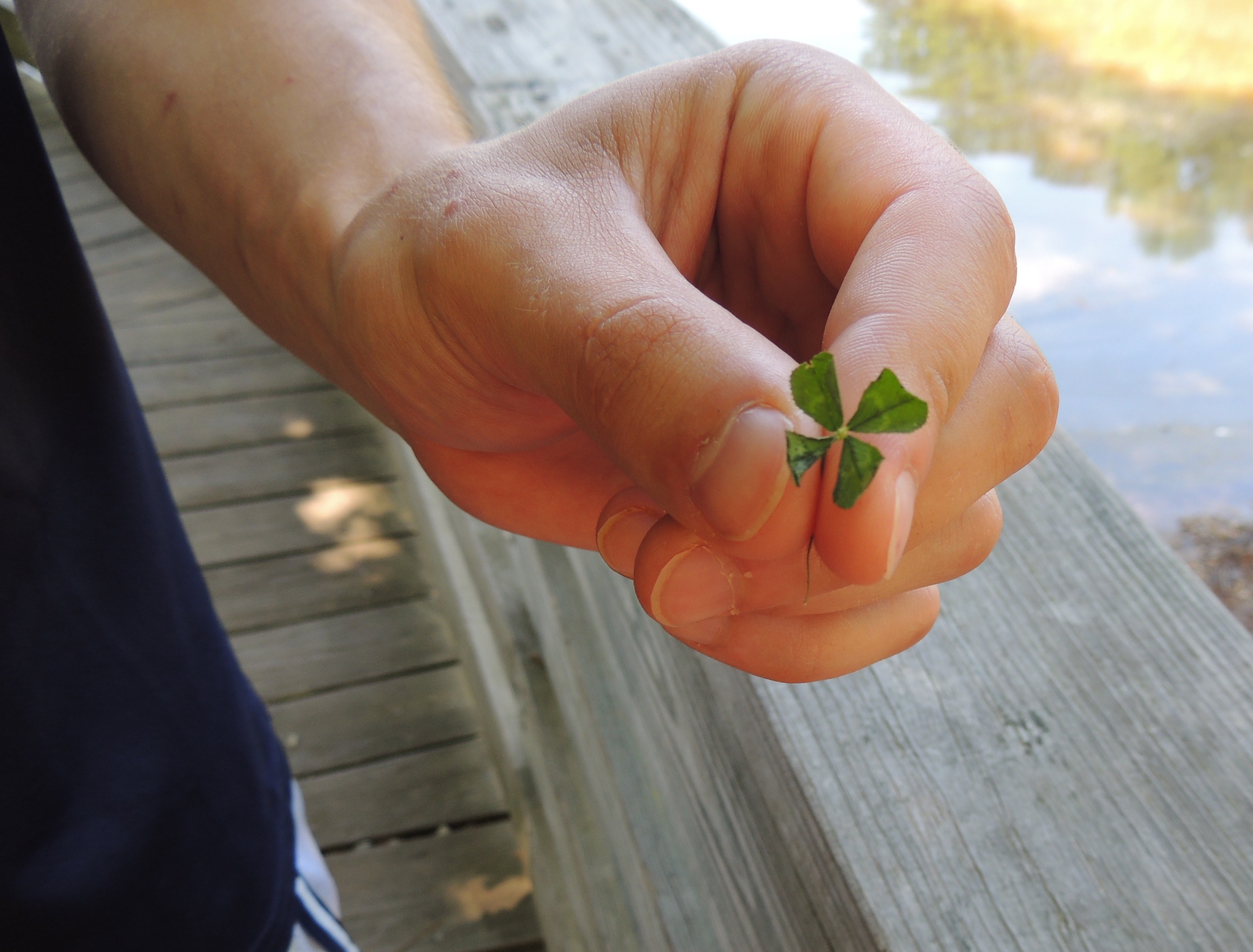 Lucky guy! Greg finds a 4-leaf clover! :)